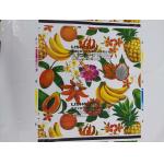Tube Plastic Film Flexographic Printing Machine With Double Unwind And Double Rewind