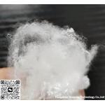 1 White Polyester Staple Fiber With Crimp For Business