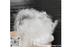 China 1 White Polyester Staple Fiber With Crimp For Business supplier