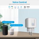 110-240V Smart Electrical Socket Voice Control With Timer Function for sale
