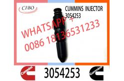 China 3054218 3054253 Engine fuel injector nozzle assy 3054218 3054253 injector nozzles supplier