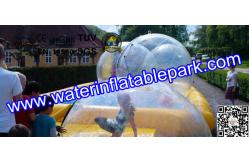 China Customized Inflatable Adult Swimming Pool Slides For Entertainment supplier