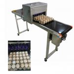 Easy Operation Egg Industrial Inkjet Coding Printer With Convenient Moving for sale