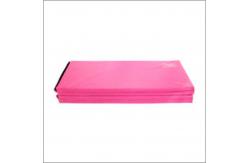 China Large Thick Foam Workout Mat , Padded Floor Mats Non Slip Square supplier