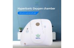China Anti Inflammatory Hyperbaric Oxygen Chamber For Elder Sitting Soft Cabin WEIZI supplier