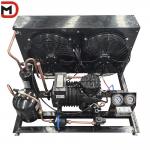 60Hz Frequency Air-cooled Condensing Unit with Air-cooled Condenser and 5kw-1000kw Cooling Capacity for sale