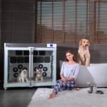 Digital Control Panel Dog Blow Dryer Box For Fur Disinfection for sale