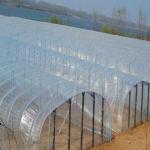 UV Resistant Greenhouse Agriculture Plastic Film Transparent