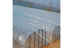 China UV Resistant Greenhouse Agriculture Plastic Film Transparent supplier