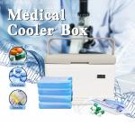 Medical Cooler Box The Perfect Cooling Solution for Your Medical Supplies for sale