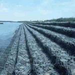 2*1*1m Standard 2mm Galvanized Gabion Basket Hexagon Mesh For Embankment Reinforcement for sale