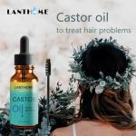 OEM ODM Eyelash Growth Serum Tonic Hair Regrowth Castor Oil