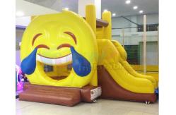 China Mini Playground Kids Inflatable Bounce House With Slide supplier