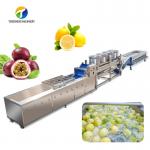 Silvery Personalization Passion Fruit And Vegetable Processing Line Fruit Cleansing Drying for sale