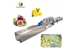 China Silvery Personalization Passion Fruit And Vegetable Processing Line Fruit Cleansing Drying supplier
