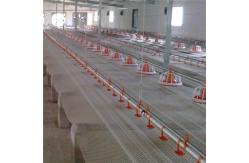 China 20kg Poultry Auger Feeder Chicken Feeding Line For Farm Hens supplier