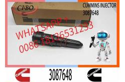 China Remanufactured High Quality Common Rail Diesel Fuel Injector 3087648 3406604 supplier