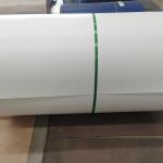 Al Mg Mn Prepainted Galvanized Steel Coil CGLCC CGLCH for sale