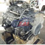 Nissan ZD30 Used Engine Run Well For Performance for sale