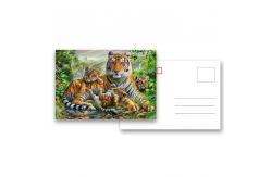 China Animial Image 3d Lenticular Card For Children With Tiger supplier