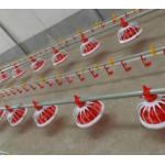 Automatic Complete Broiler Pan Feeding System for sale