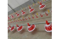 China Automatic Complete Broiler Pan Feeding System supplier