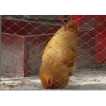 Stainless Steel Rope Cable Ferrule For Zoo Animals In Rhombus / Diamond Mesh Shape for sale