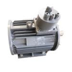 Fuel Free Permanent Magnet Alternator 1000kw 500rpm IP54 IP55 IP68 for sale