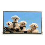 27 Inch High Tni LCD Module Panel 1000nits Lcd Advertising Display Panel for sale