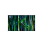 B116XAT01.0 11.6 inch 1366*768 tft lcd display module for sale