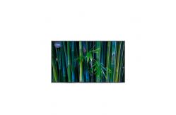 China B116XAT01.0 11.6 inch 1366*768 tft lcd display module supplier