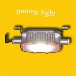 Waterproof IP68 LED Explosion Proof Light 3000LM For Industry Plant for sale