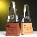 Individualized Custom Resin Trophies Crystal And Solid Wood Combination Trophy
