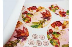 China Textile Computer To Screen Exposing Machine supplier