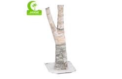 China Durable No Nursing Artificial Landscape Trees , Artificial Indoor Birch Tree 280cm supplier