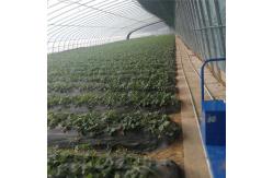 China Automatic Air Circulation Solar Passive Greenhouses Customized supplier