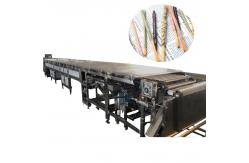 China Automatic Pocky Biscuit Machine Finger Biscuit Chocolate Coating Machine supplier
