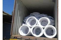 China Galvanized Steel Electro Galvanized Wire Iron Binding Galvanized Wire BWG12 supplier