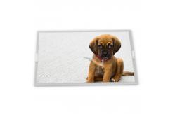 China Good Quality TP-4445S2touch Screen supplier