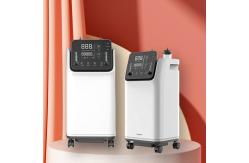 China 95% Purity 10L Oxygen Concentrator With Nebulizer And Remote Control supplier
