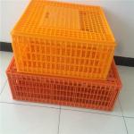Plastic crates for the transfer of chickens