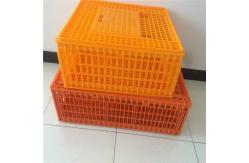 China Plastic crates for the transfer of chickens supplier