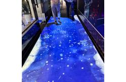 China Source Factory Customization Indoor Interact Mapping Ground Projection supplier