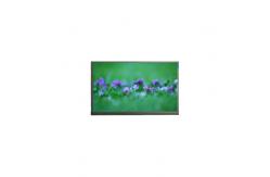China 13.3 inch N133HCE-EBA 220 cd/m2 262K LCD Laptop Screen supplier