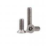 Self Tapping Stainless Steel Flat Head Screws for Machine use for sale