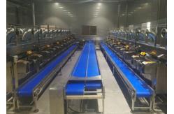 China Automatic Control Coconut Milk Processing Plant / 4000LPH Fruit Processing Plants supplier