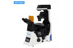 China OPTO EDU A16.1099 Full Auto Semi-APO Inverted Fluorescent Microscope supplier