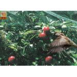 Green Garden Mesh Netting Polypropylene Bird Netting Hole Open 10mm * 12 Mm for sale