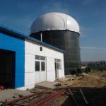 Anaerobic Digester Biogas Power Plant From Cow Dung for sale