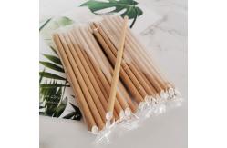 China 100Pack Biodegradable Kraft Paper Drinking Straws Bulk For Juices Shakes Smoothies supplier